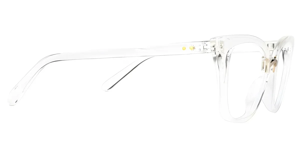 Paulina Crystal Glasses 2