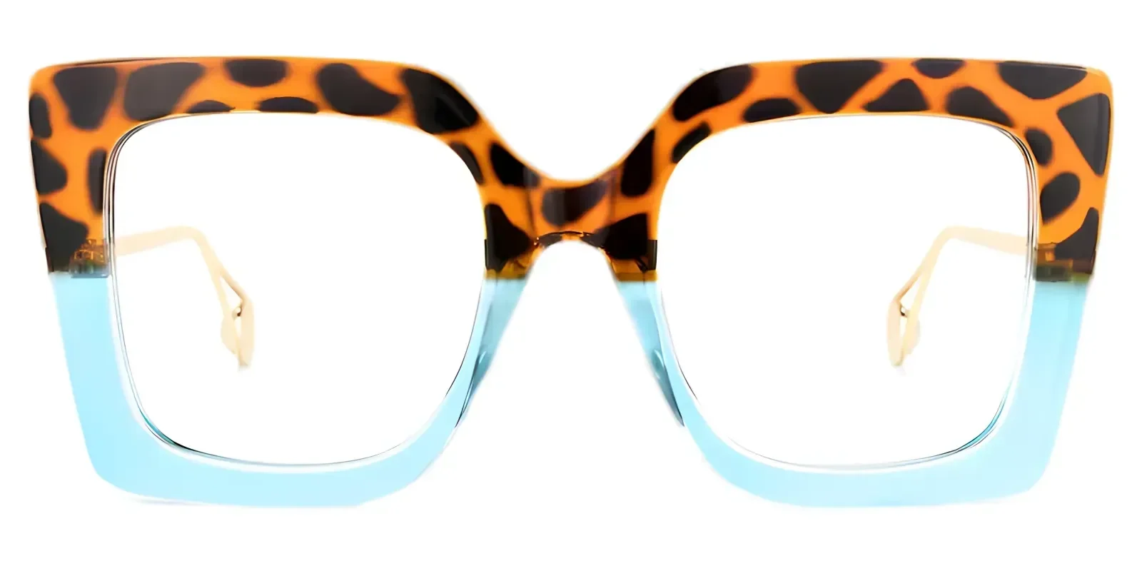 Vernetta Tortoise glasses 1