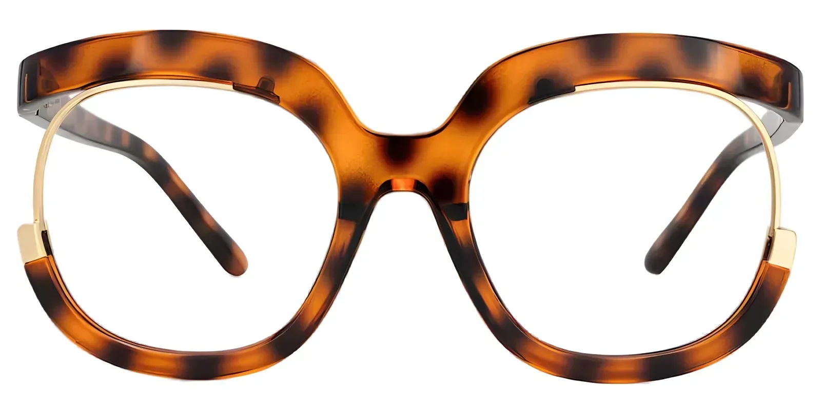 Carmine Tortoise glasses 1