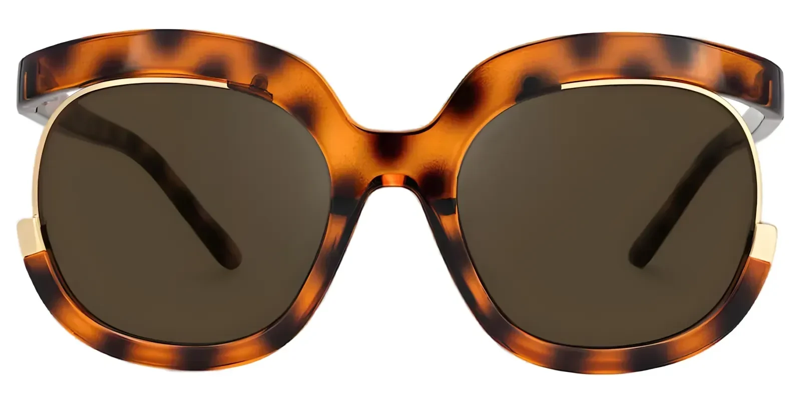 Carmine Tortoise-T glasses 1