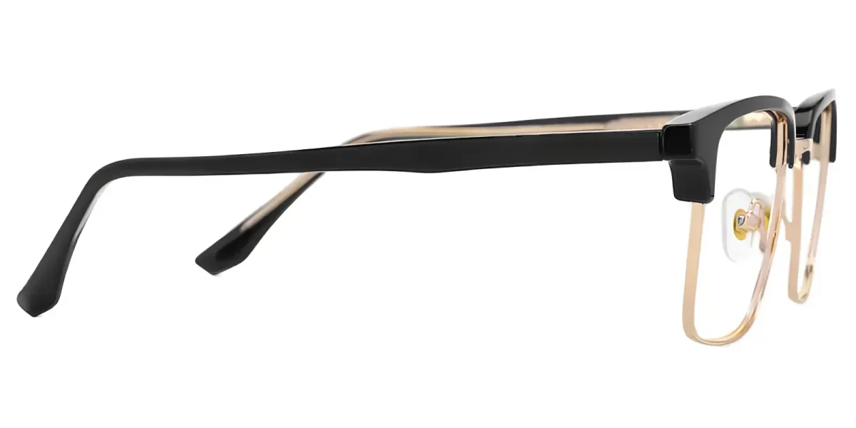 Dardhan Black-Gold Glasses 2