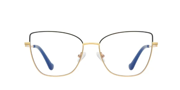 PF3056 Black-Gold glasses 1