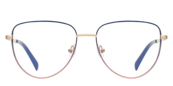 PF3094 Blue-Pink glasses 1