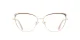 PF3117 Brown glasses 2