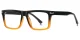 PF2201 Black-Brown Glasses 1