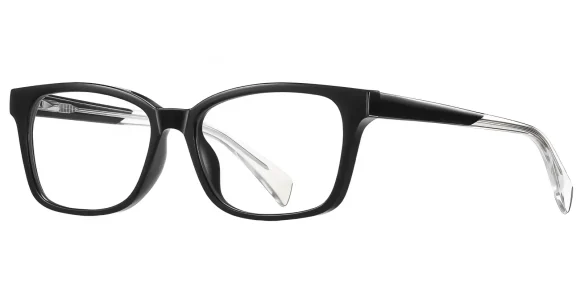 Fenn Black glasses 2