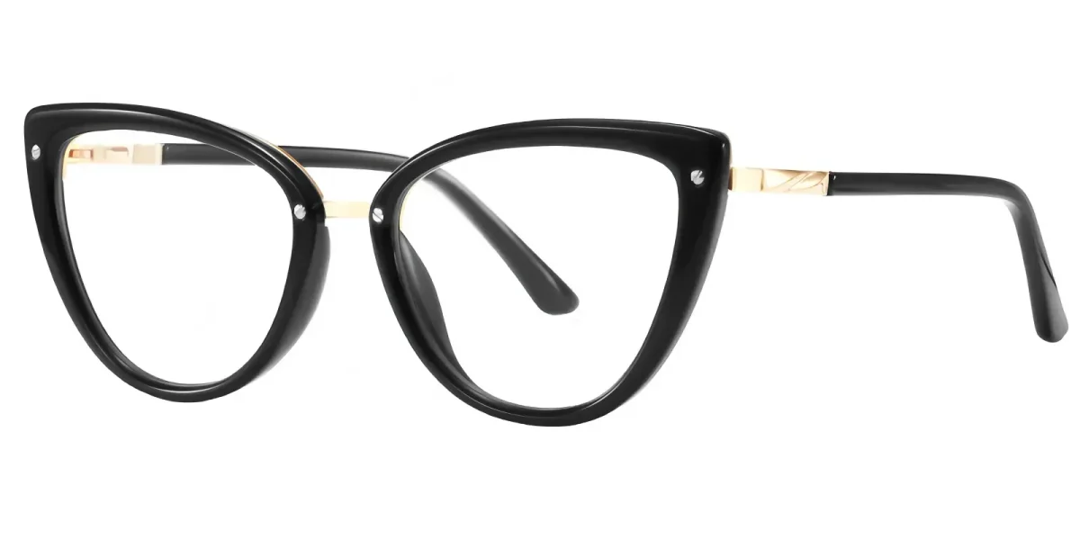 PF2221 Black Glasses 1