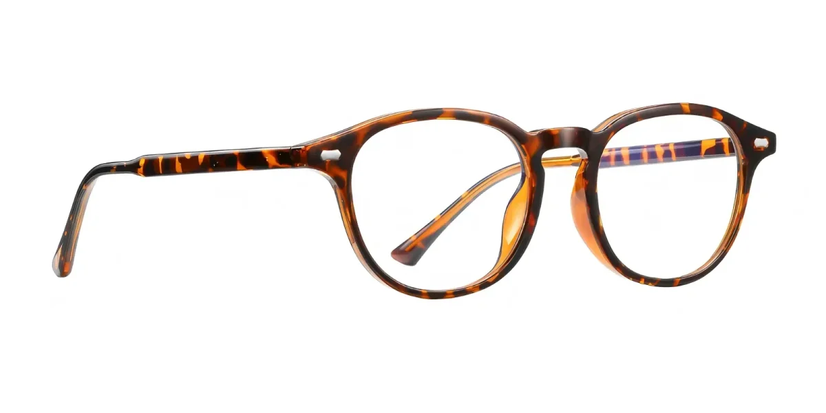 PF5004 Hawksbill Glasses 2