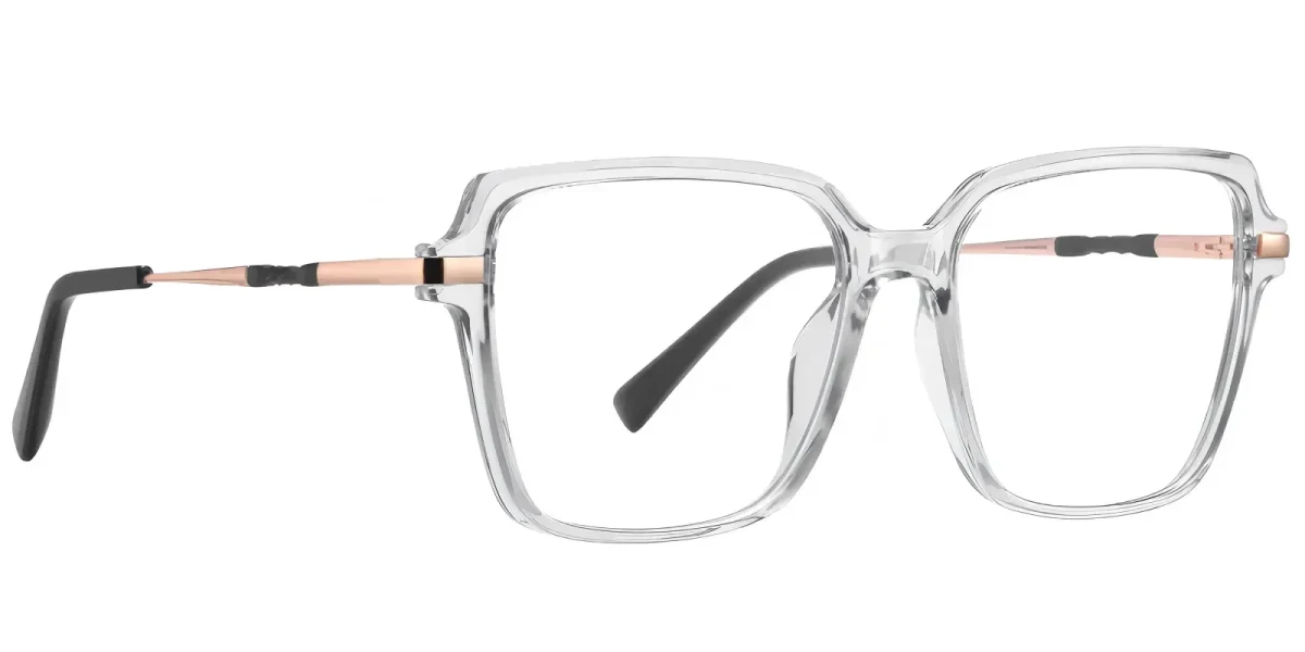 PF2212 Transparent Glasses 2