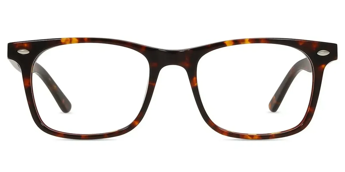 Libby Tortoise Glasses 2