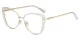 XY8024 Gold, Clear Glasses 1