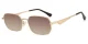 XY8029 Gold, Matt Glasses 1