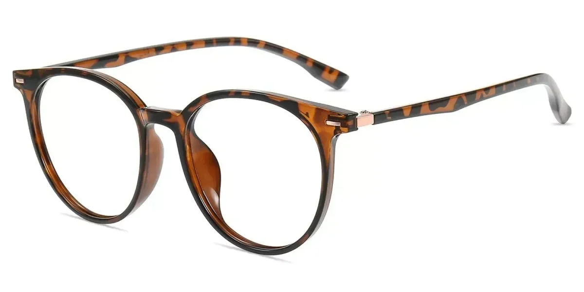 XY8047 Tortoise Glasses 1