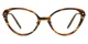XY8037  Tortoise Glasses 2