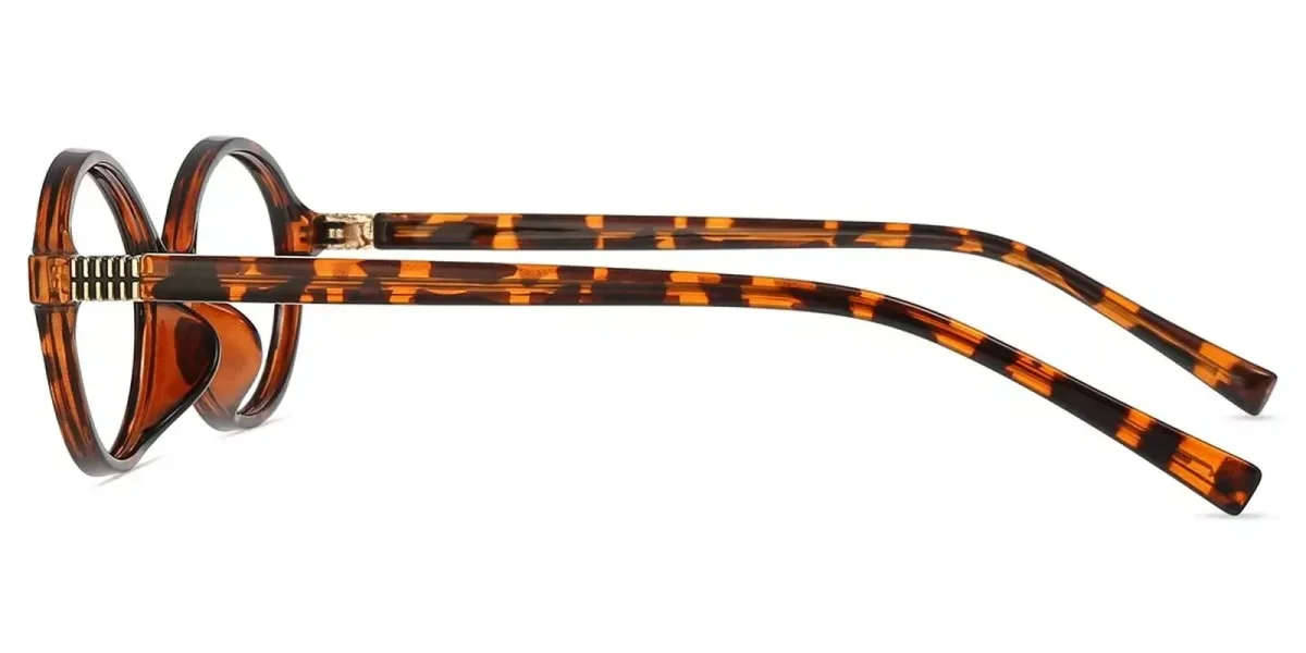 XY8044 Tortoise Glasses 3