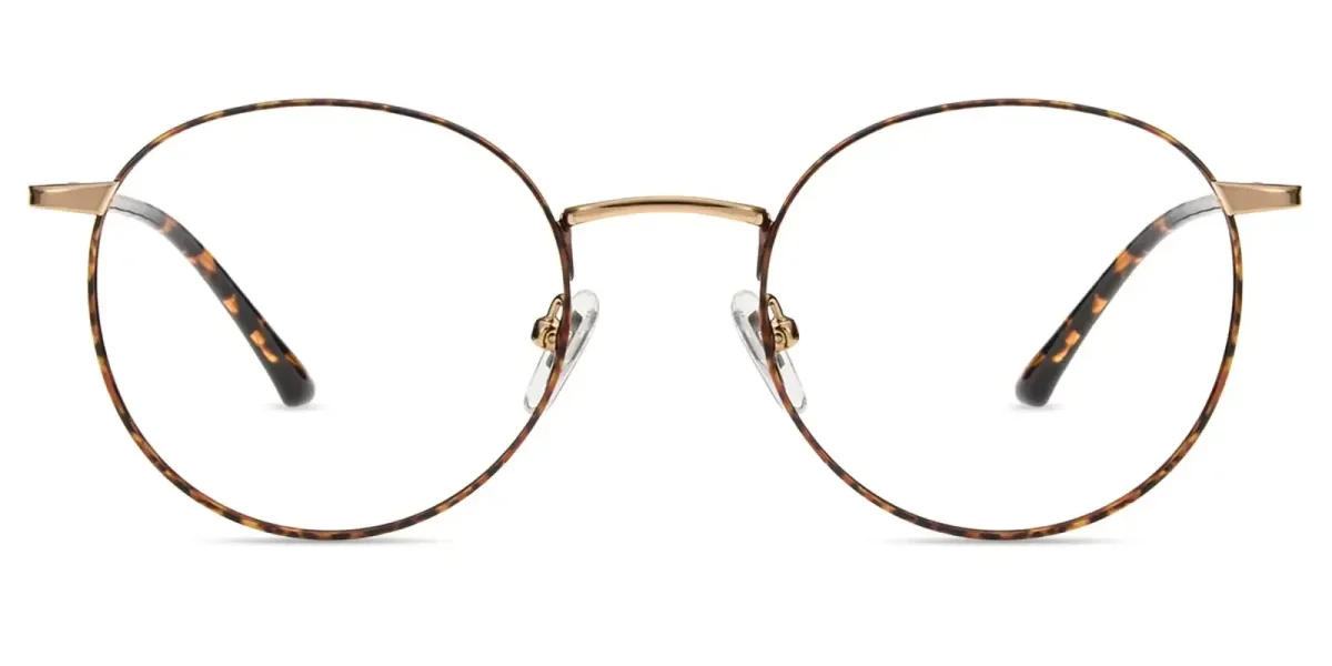 XY8053 Gold, Tortoise Glasses 1