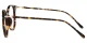 XY8028 Tortoise Glasses 2