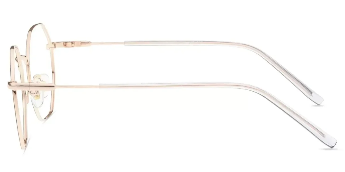 XY8054 Black, Gold Glasses 2